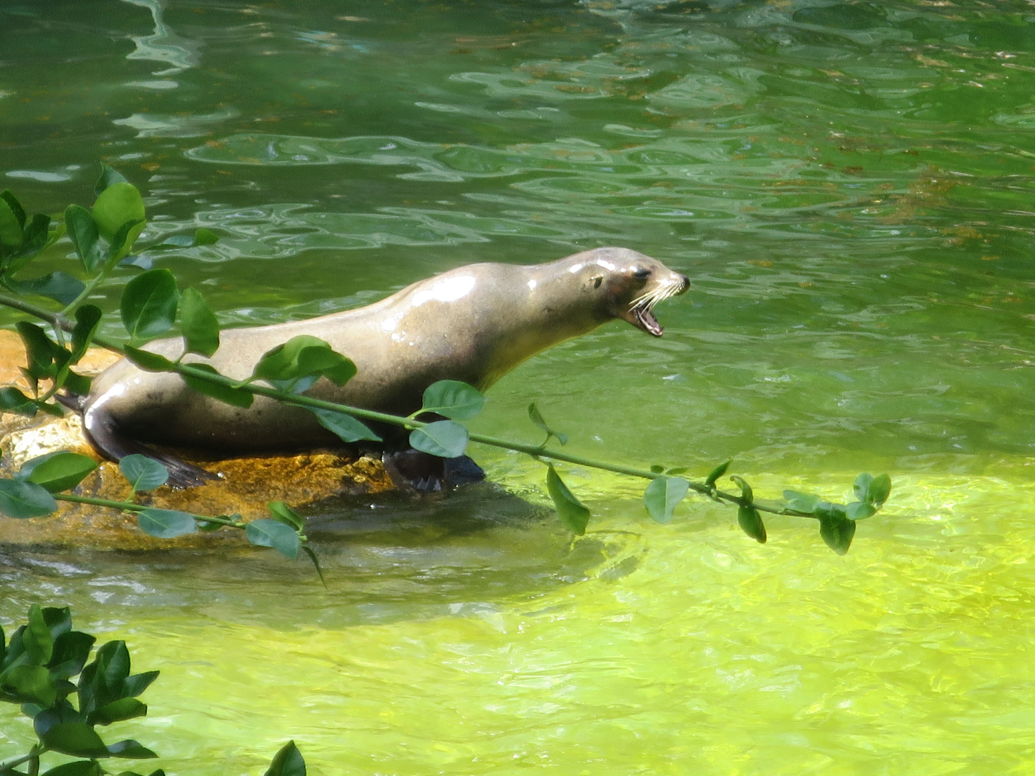 Tierpark Zoo  10